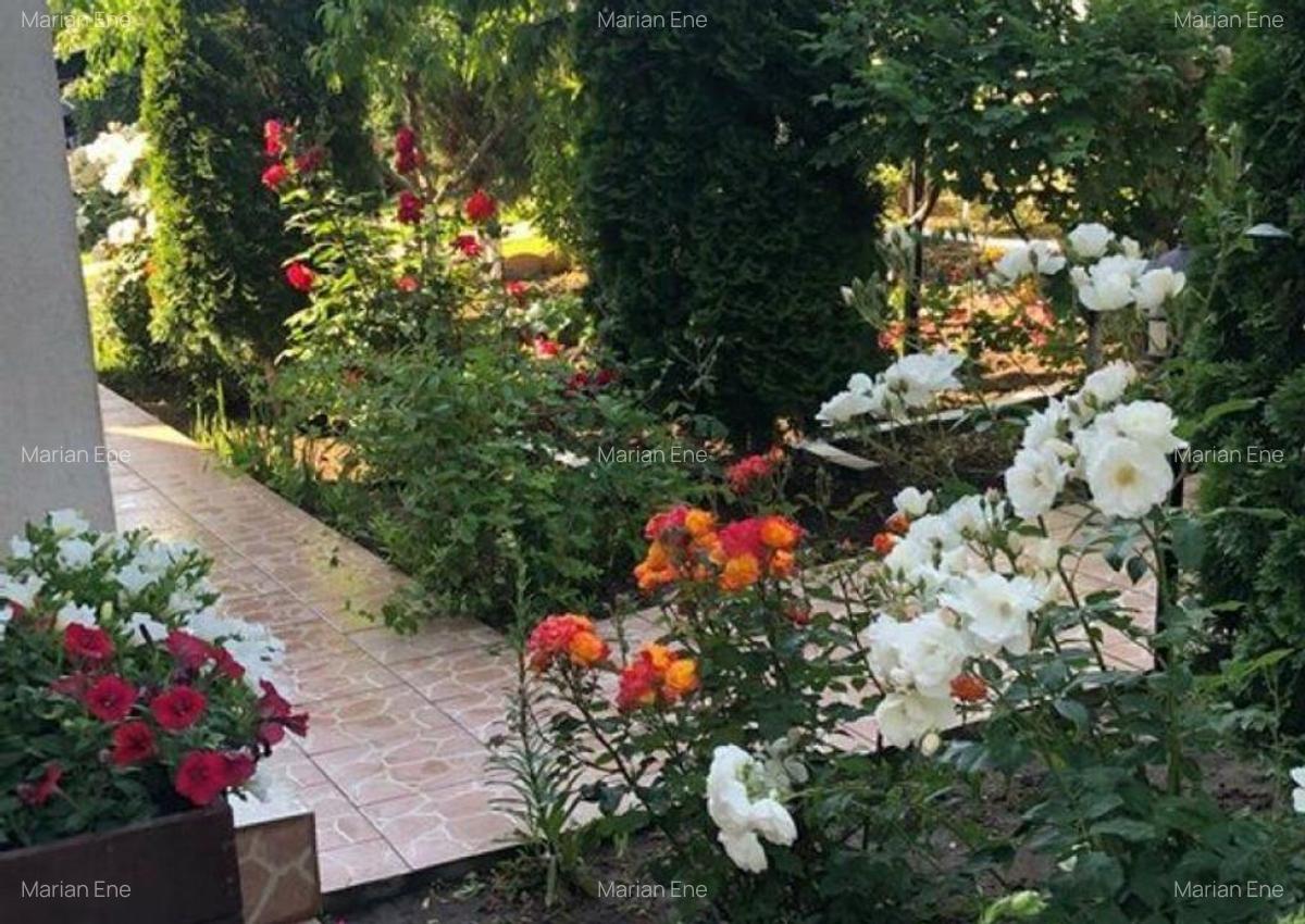 Vila - parter + mansarda - Sendreni, jud. Galati - 9