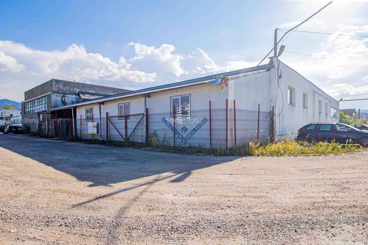 Spațiu industrial - Hală Oligopol - 1