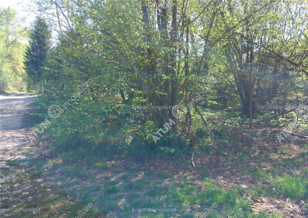 Teren intravilan 1300 mp de pe Valea Avrigului in zona Mlac - 3