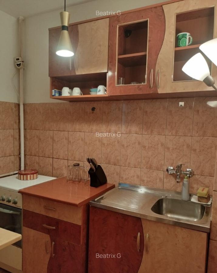 Garsoniera aproape de tot de ai nevoie Drumul taberei - 6