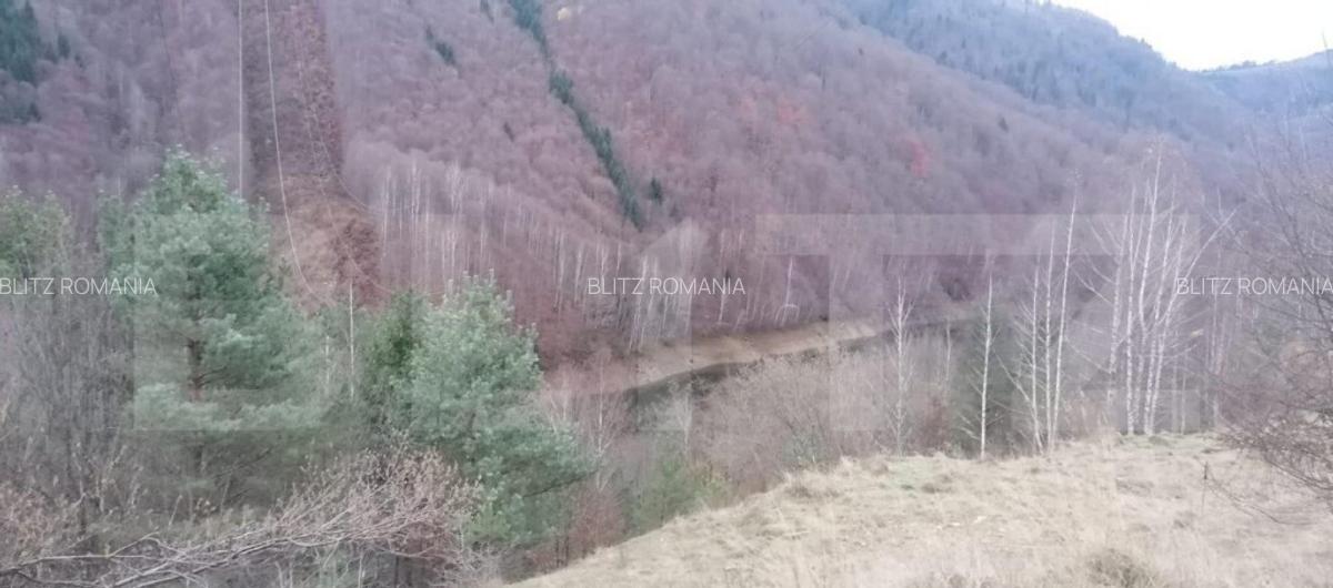 Teren 14 ha compact langa Lacul Tau Bistra - 2
