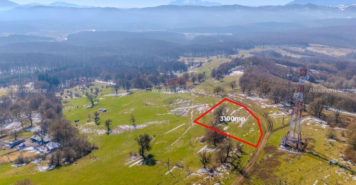 COMISION 0% Teren 3,100mp /Intravilan/ Dumbravi?a - 4