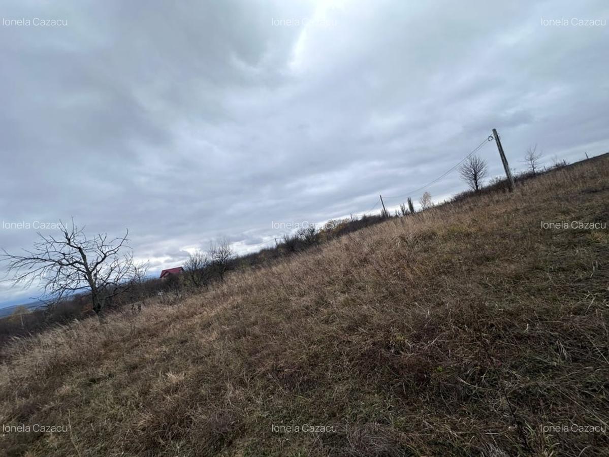 Teren intravilan, 1000 mp, Daia Noua - 3