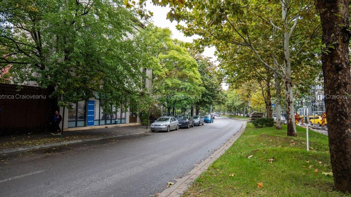 INVESTITIE - Vanzare vila finalizata S+P+2E+M, zona Doamna Ghica - 3