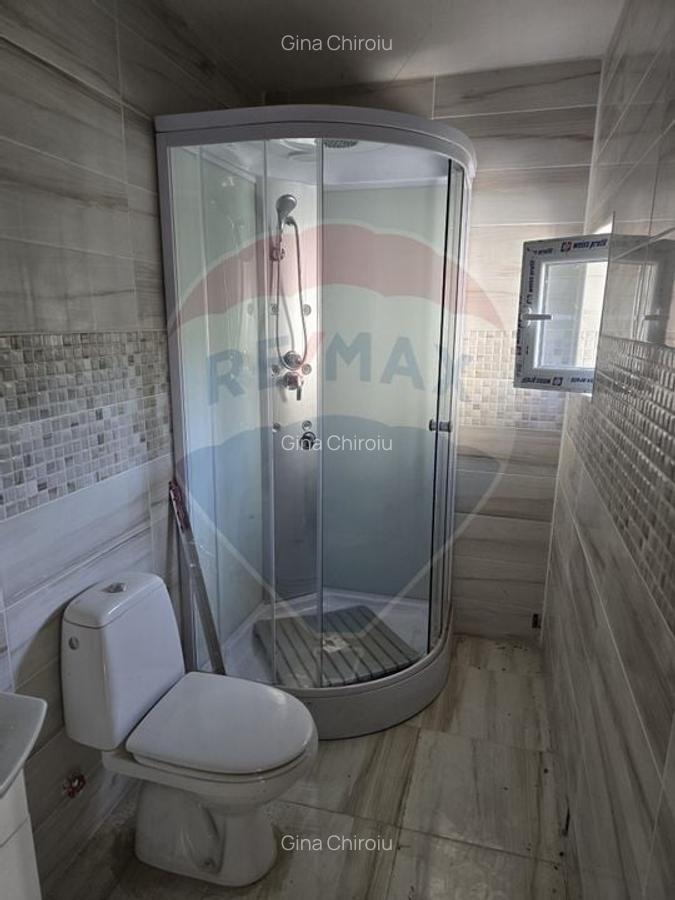 Casa noua + casa veche boiereasca renovabila - 4