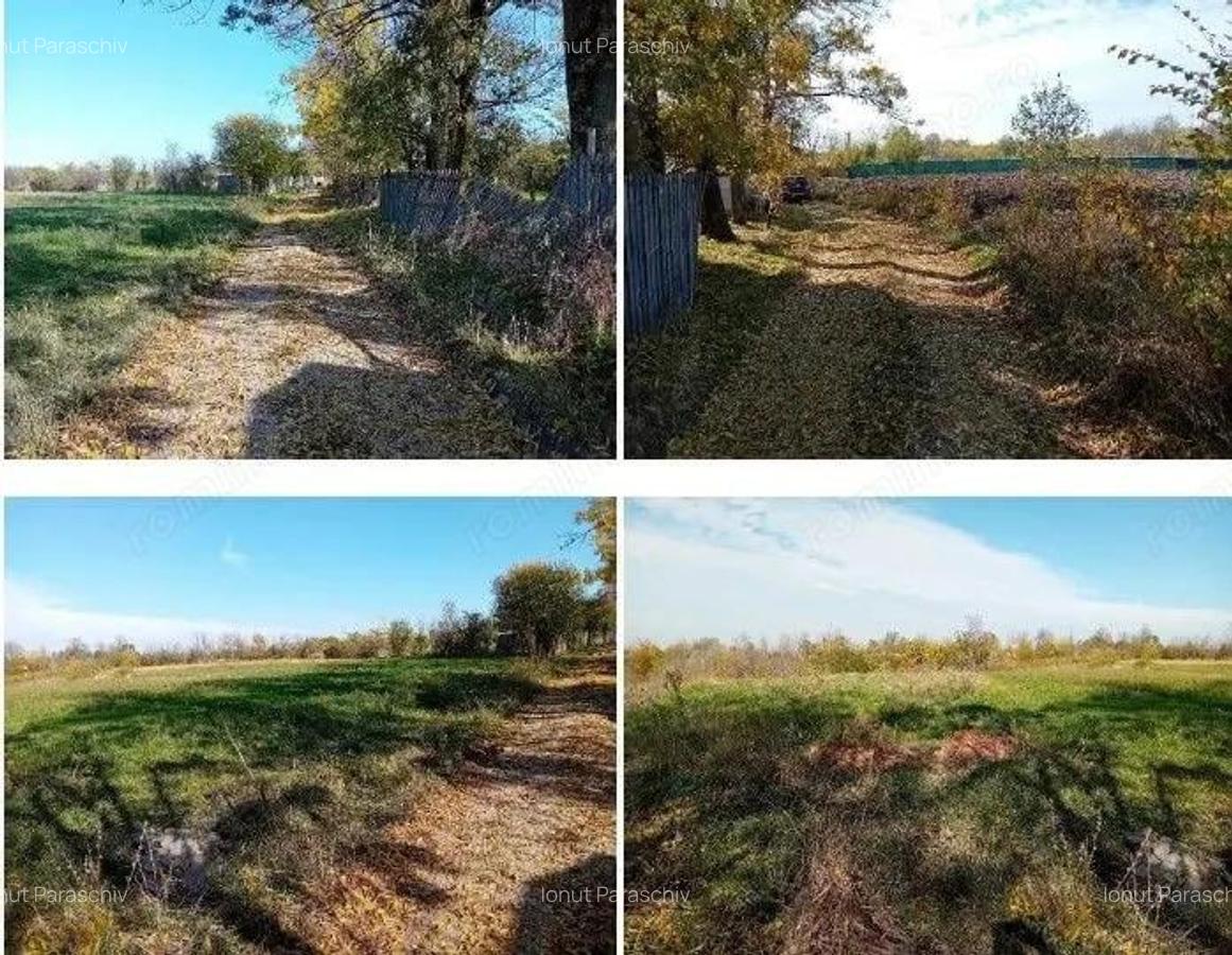 Teren Ungheni, ID: R2832820 - 8