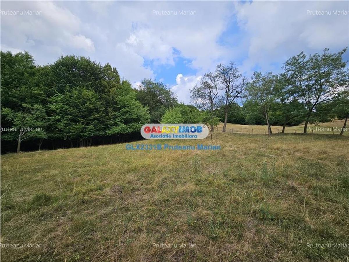 Vanzare teren 2680 m situat la Curtea de Arges cu iesire spre Transfag - 5