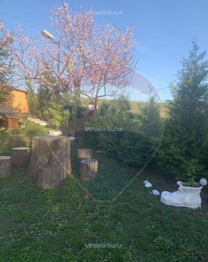 Casa / Vila cu 3 camere de vanzare - 24