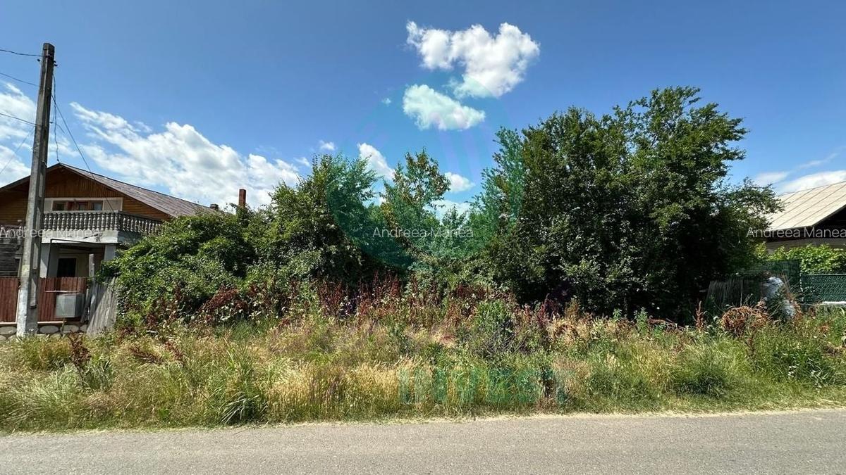 Teren 16534 mp pentru dezvoltare rezidențială, Siliștea Snagovului - 5