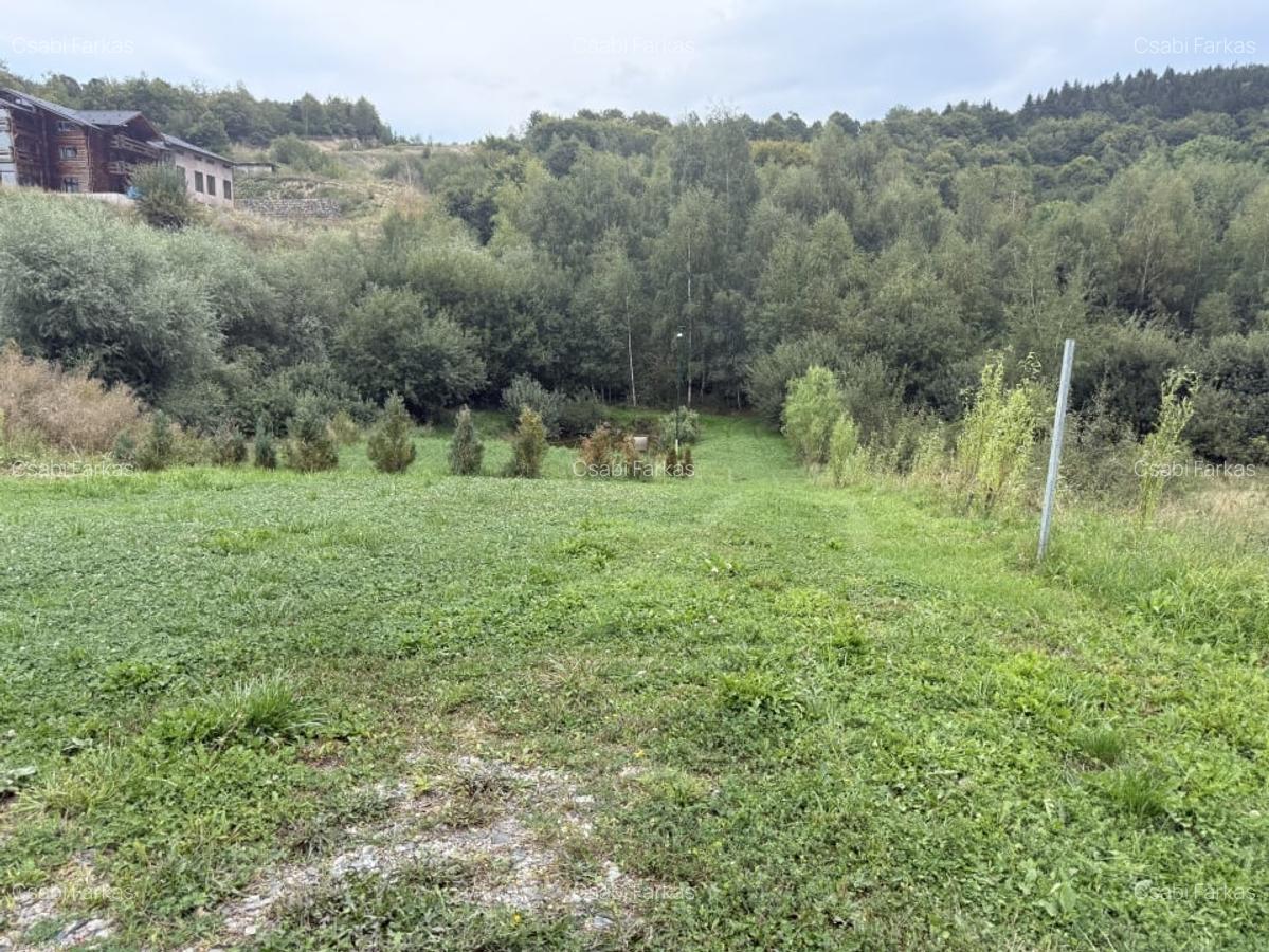 Teren 971 MP, intrare Salicea cu autorizatie , Casa Individuala - 1