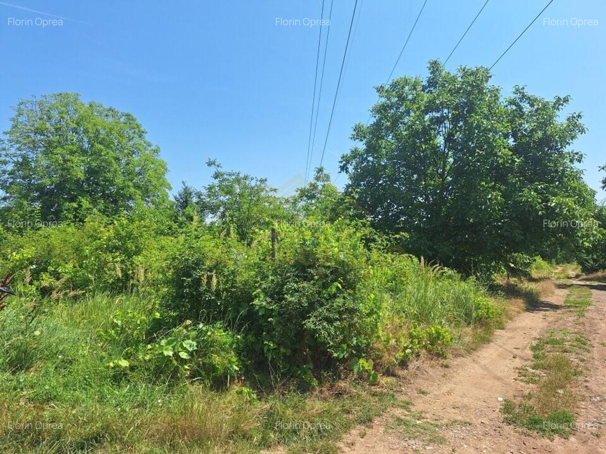 STR.APUSULUI-TEREN INTRAVILAN-2000 MP - 8