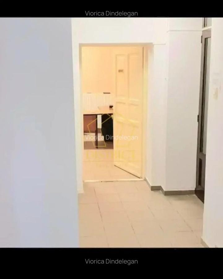 Spatiu Comercial SAD vad bun I Sagului - 6