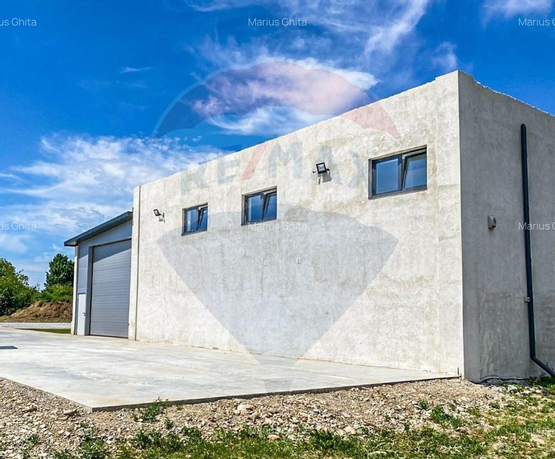 Hala depozitare 850 mp Jilava - Centura Bucuresti, sos Giurgiului - 11