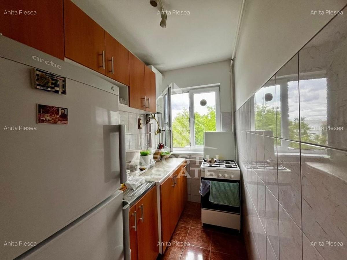 Apartament cu 4 camere semidecomandat, mobilat în Take Ionescu - 12