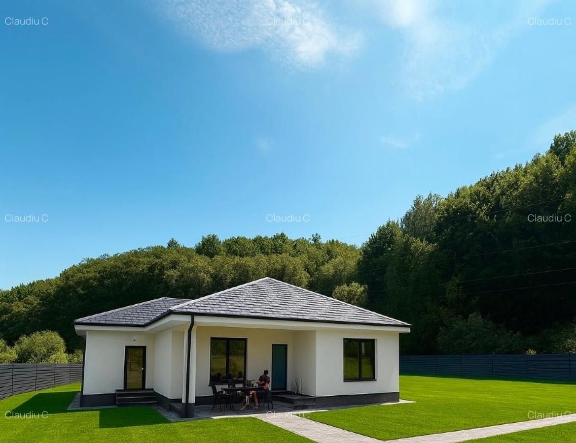 Vand casa Pitesti Bascov - 2