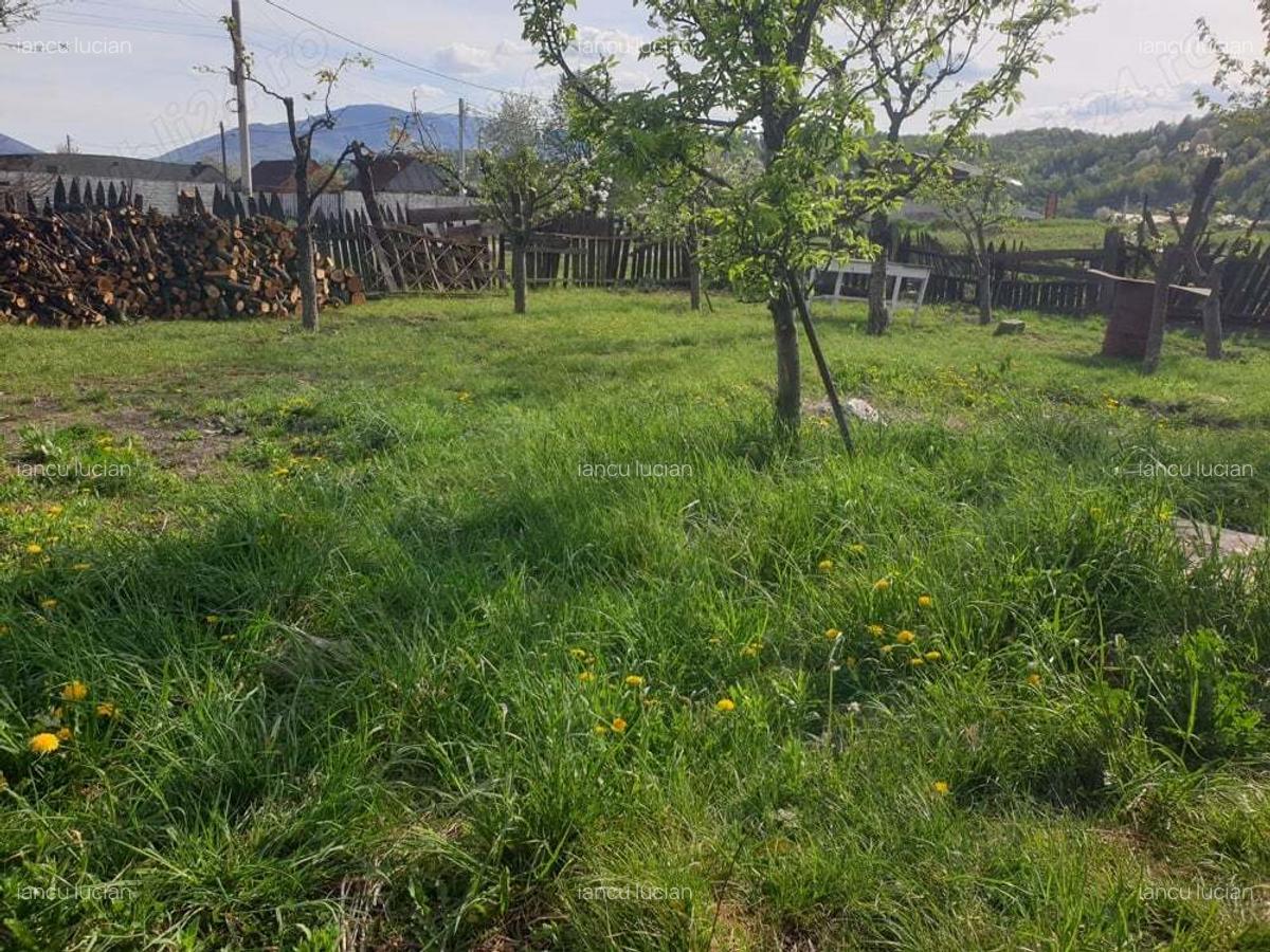 Vand casa individuala - 4