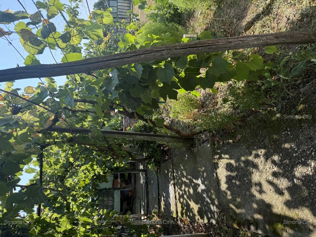 Vand casa in Sarsig + tractor - 2