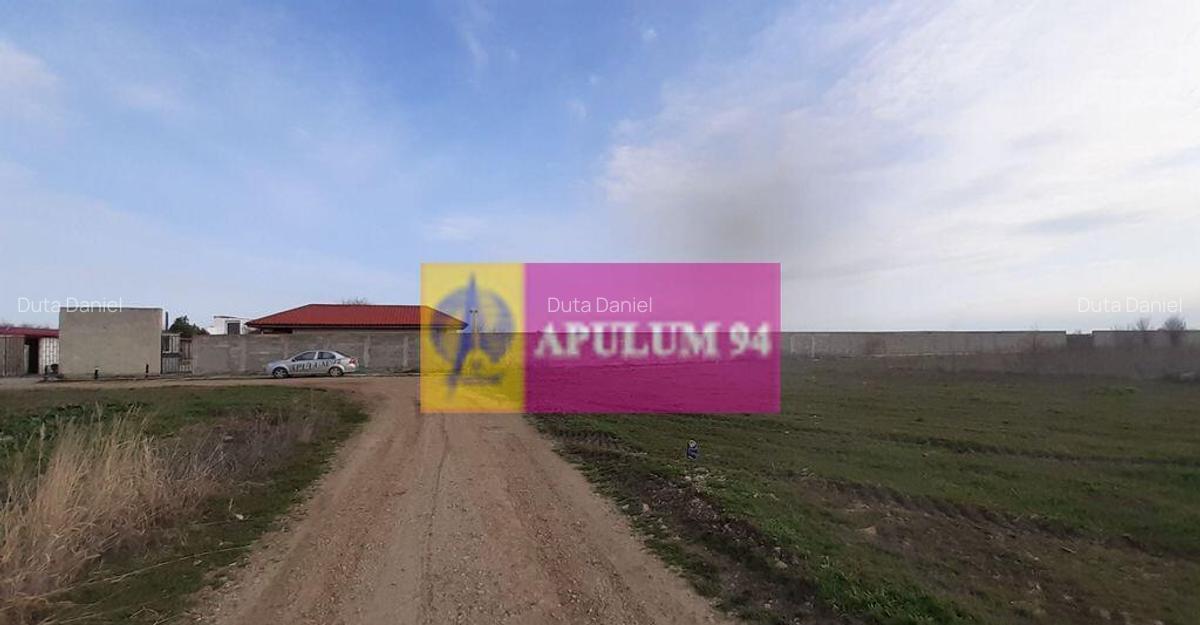 Parcela langa padure in Ilfov - 6