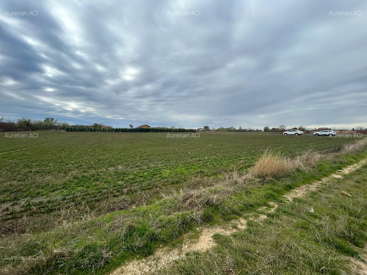 Ciolpani,Sat Piscu,Str Campului, muzeu Atelier Piscu, Teren intravilan - 4