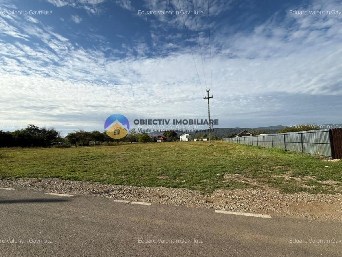 Teren de vanzare 1800 mp - Dumbrava Rosie - 4