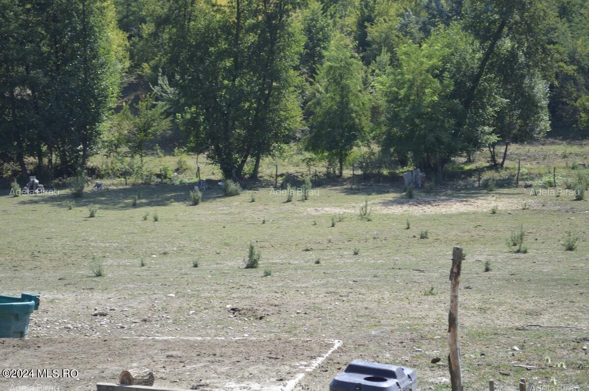 Bogati - Glimbocel, cladire cu suprafata utila 538 mp, teren 1000 mp! - 13