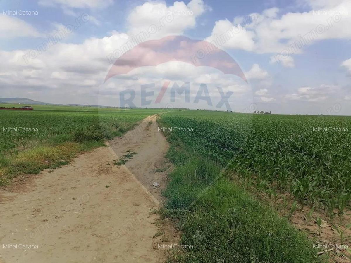 Teren Sarata/ Bacau, Strada Poligonului 10.000mp, INTRAVILAN - 3 Teren Sarata/ Bacau, Strada Poligonului 10.000mp, INTRAVILAN - 3