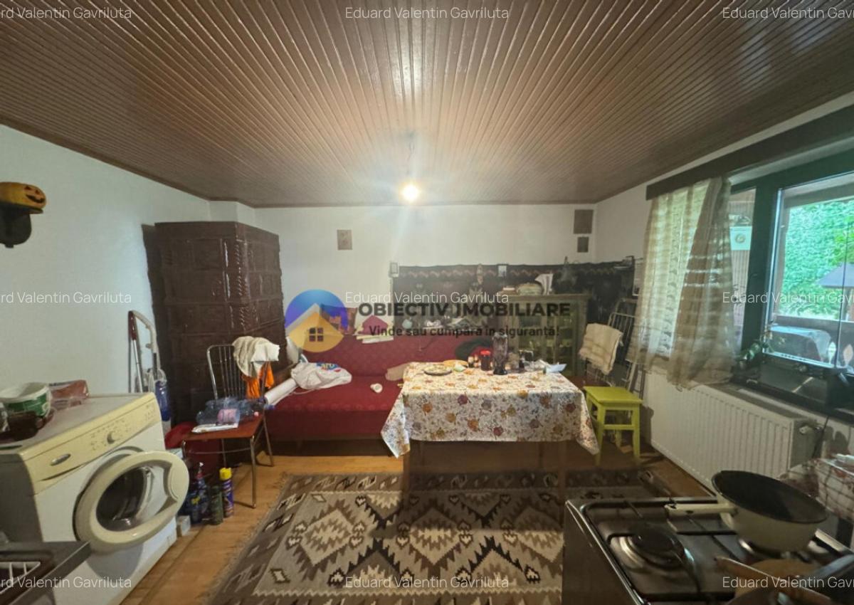 Casa tradi?ionala de vanzare in comuna Podoleni, jud. - 27