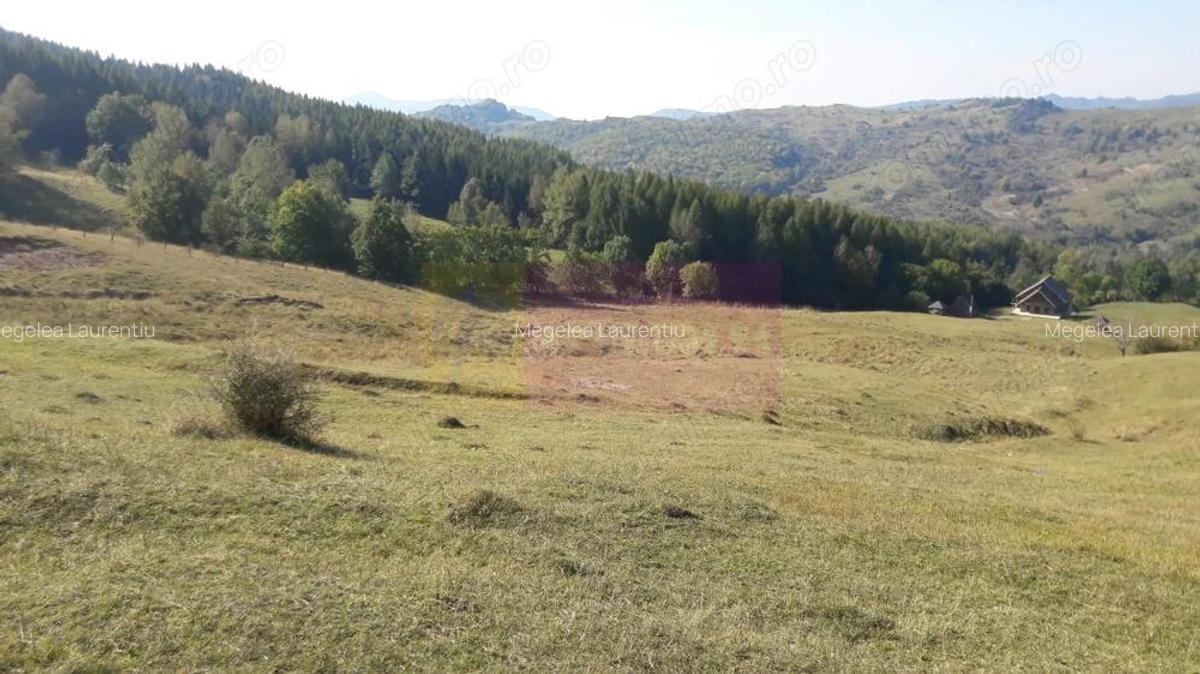 Teren intravilan de vanzare in Breaza (dezvoltare imobiliara) - 3