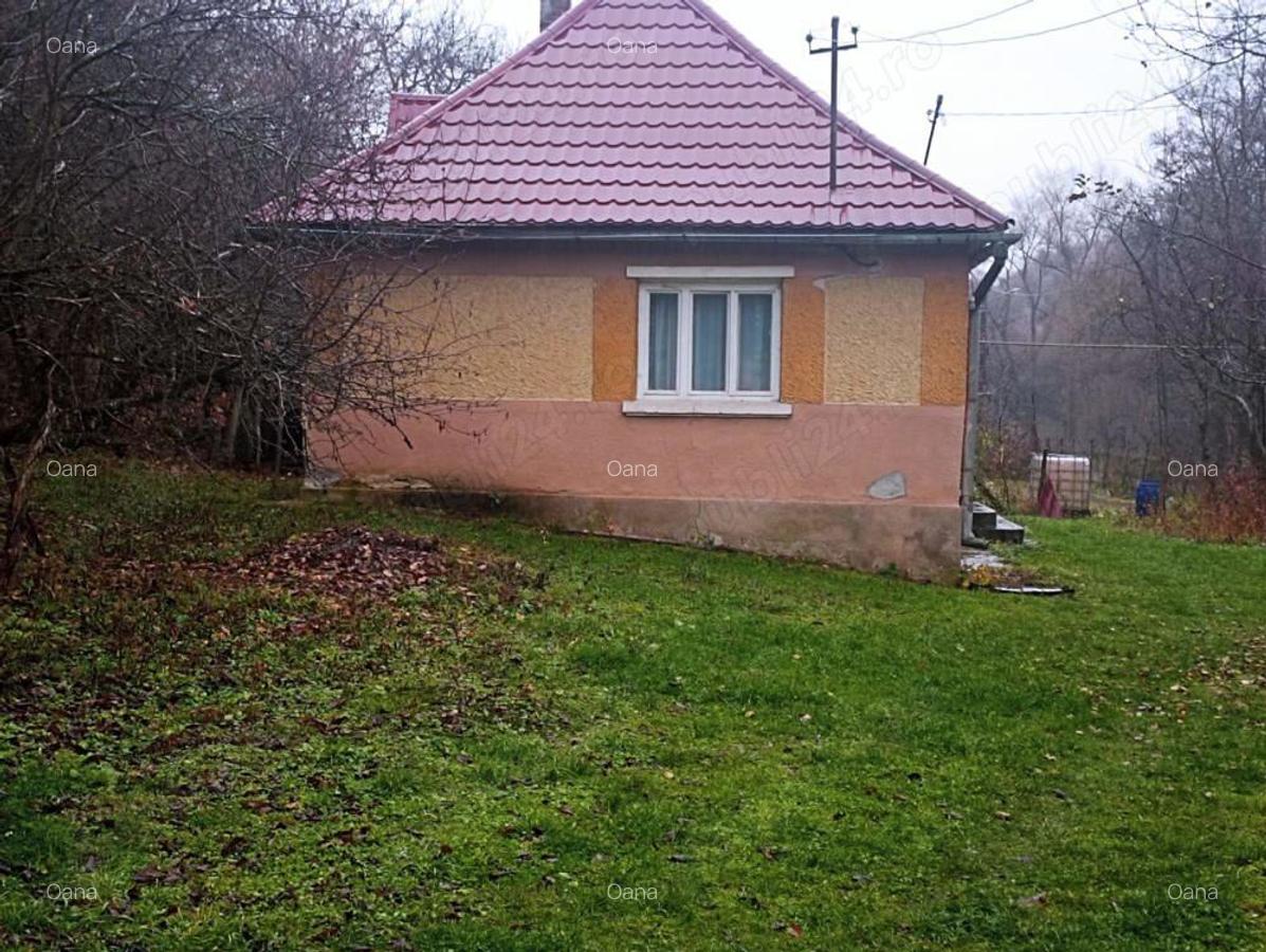 Vand casa+anexe gospodaresti+gradina+livada; Sat Luminisu, jud. Salaj - 7