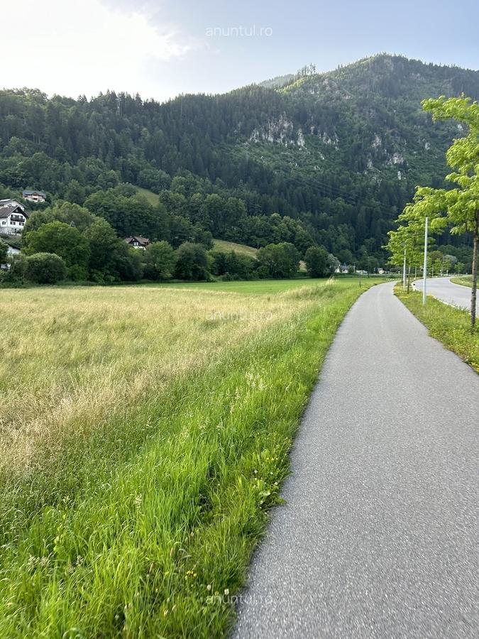 Magurele Teren 3.000 mp ideal pentru ansamblu de case / dezvoltare - 2