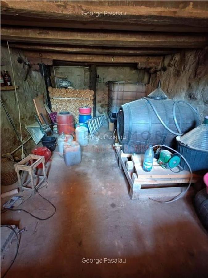 Teren intravilan + casa zona Fintesti - 14