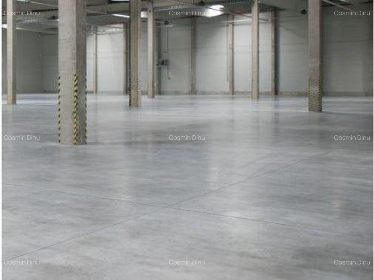 Spațiu industrial, 5800 mp în Exterior Vest - 6