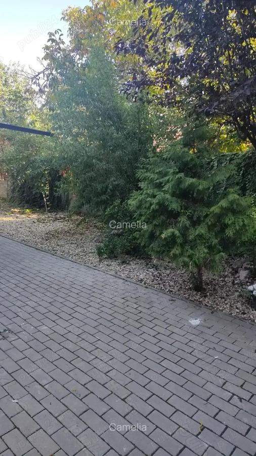 Apartament cu 2 camere cu curte ?i parcare zona Sagului, Timi?oara - 6