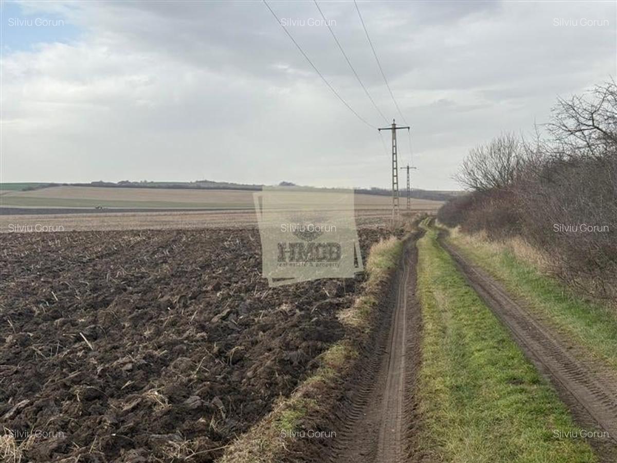 Teren extravilan in EXCLUSIVITATE 20300 mp in Sura Mica - 1