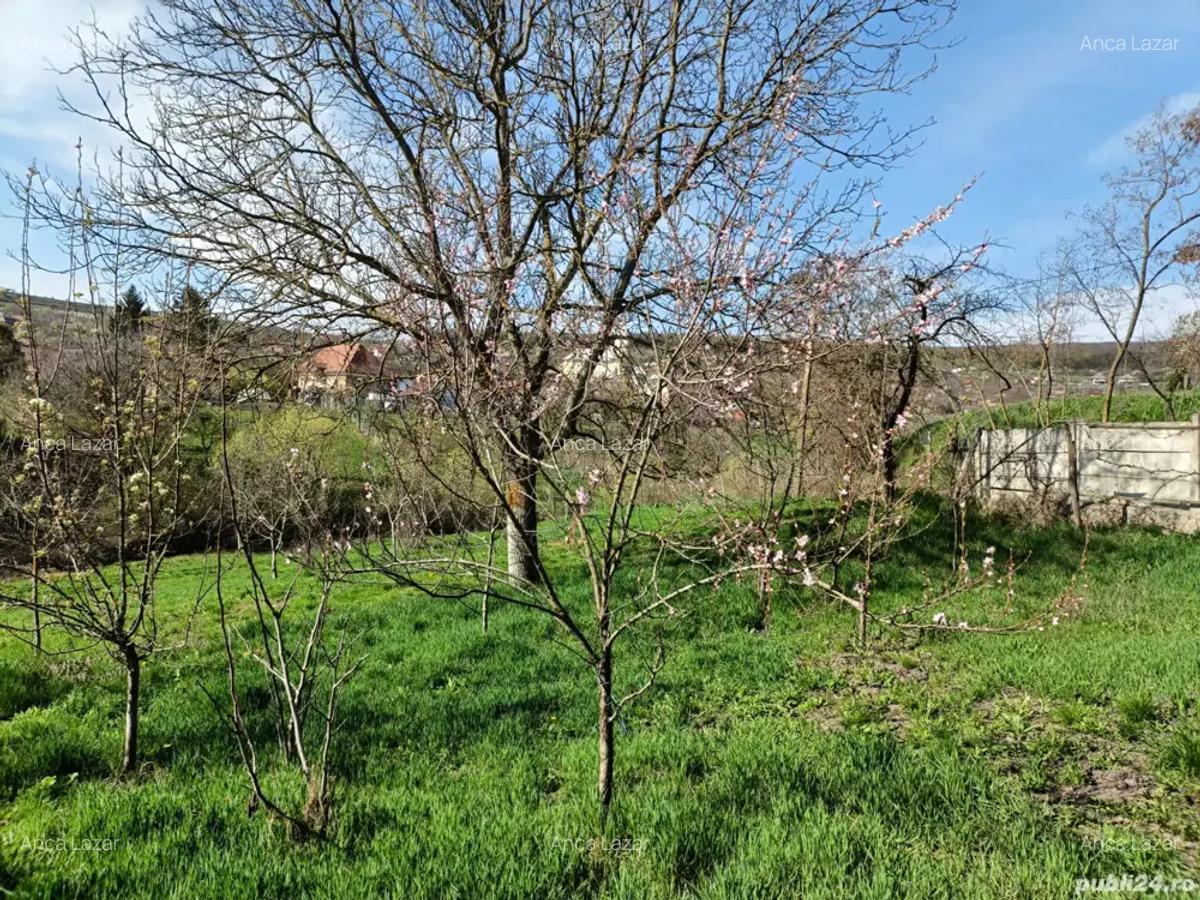 Casa de vanzare in sat Padureni, com. Tritenii de Jos - 4
