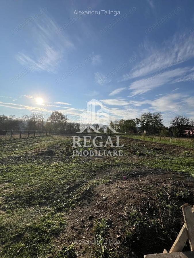 Casa spa?ioasa de vanzare in Ru?i pentru locuin?a sau investitie - 19