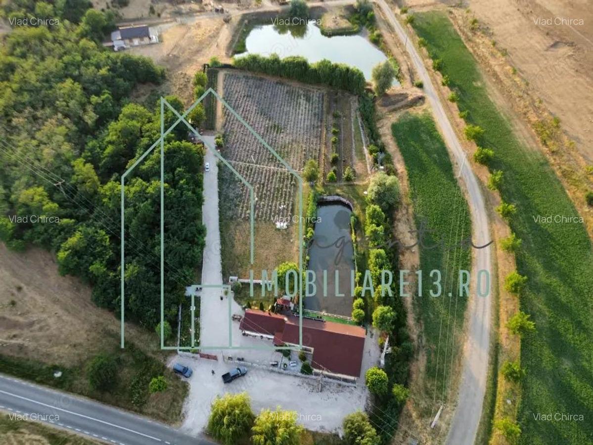 Domeniu, Afacere de vanzare, Sebe?, Alba, balta pescuit, ferma lavanda - 13