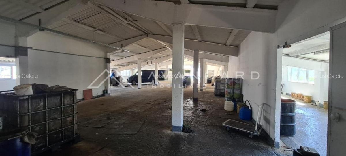 Spatiu Industrial/Hala | 1060 mp utili | Oiejdea (Alba) - 3