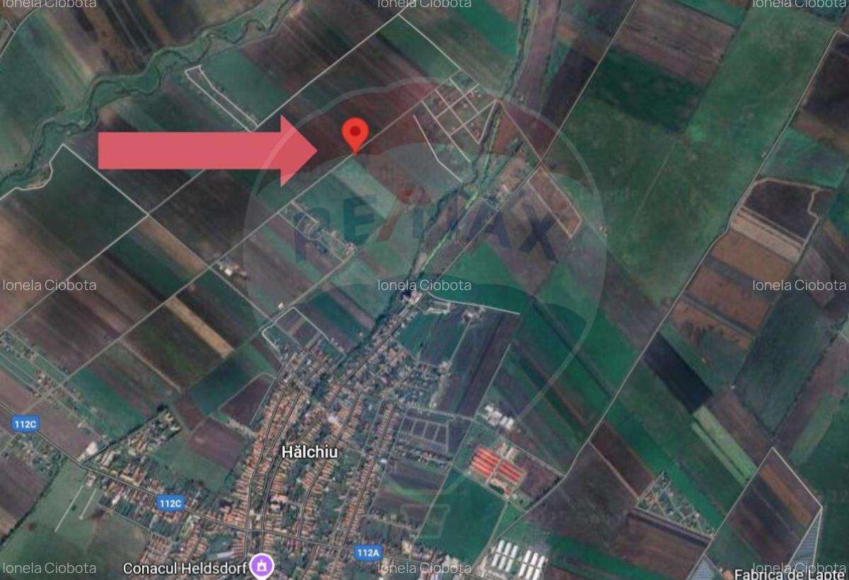 Teren 30.000 MP | Halchiu | Jud. Brasov - 6