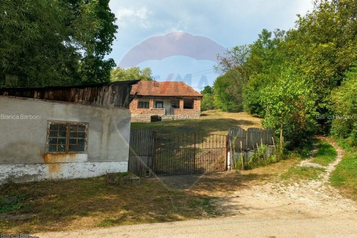 Casa veche cu teren ,Varmaga jud Hunedoara - 3