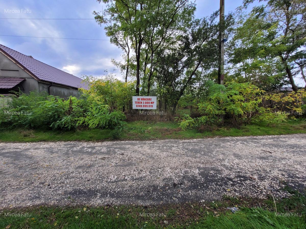 Teren intravilan intre case - 2079 mp - Movilita - 9 Teren intravilan intre case - 2079 mp - Movilita - 9