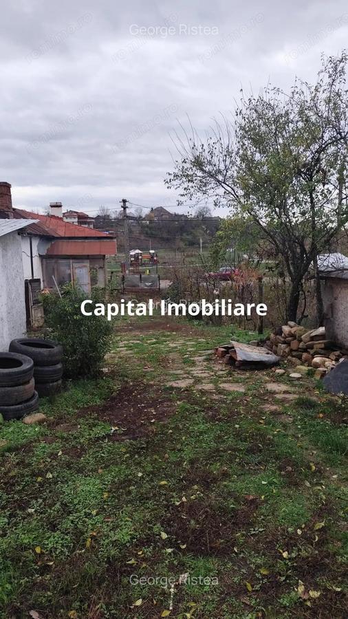 Baicoi Central 1613 mp Parc Petrom - 1