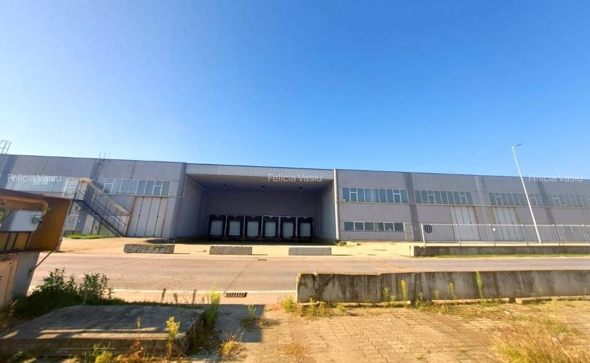 Spațiu industrial, 12876 mp în Sud - 5