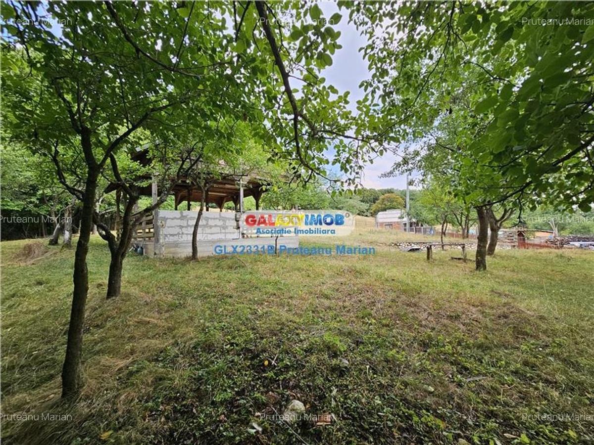 Vanzare teren 2680 m situat la Curtea de Arges cu iesire spre Transfag - 7
