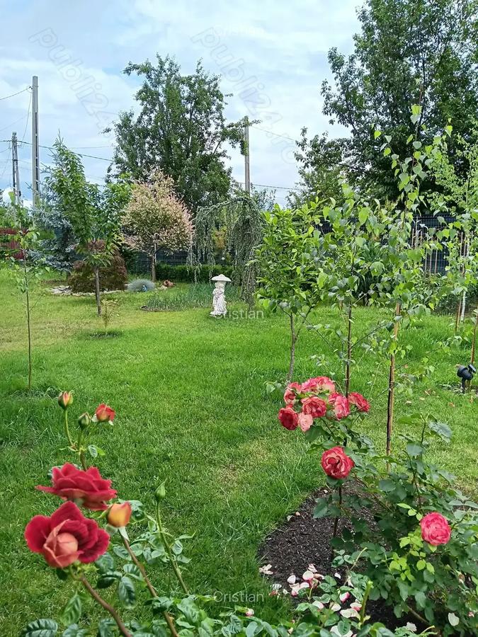 Urgent .Proprietar, parter la casa cu etaj, Mogosesti - Iasi, 10 km - 9