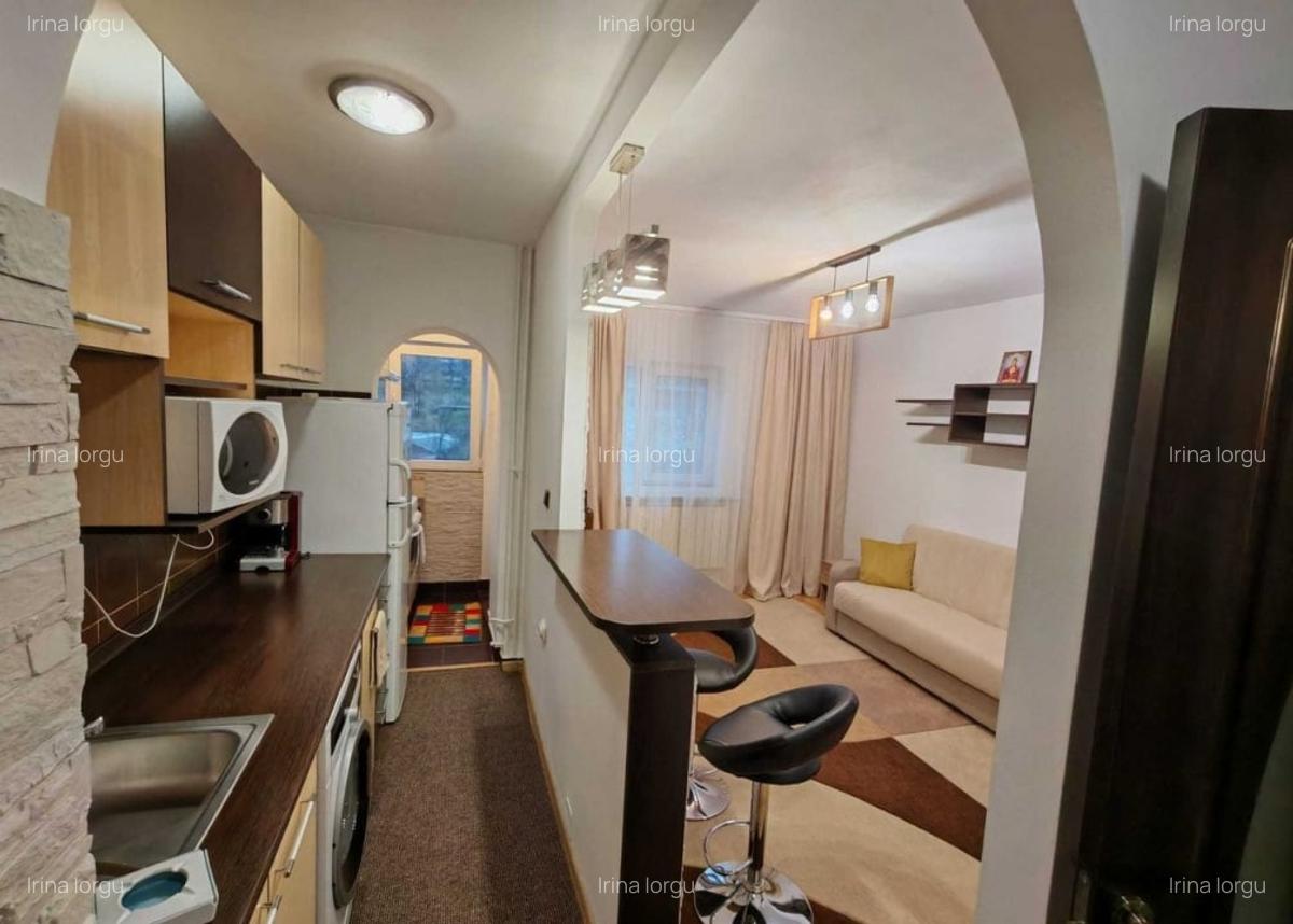 330 euro! Garsoniera zona Gradinari/Tudor - 3