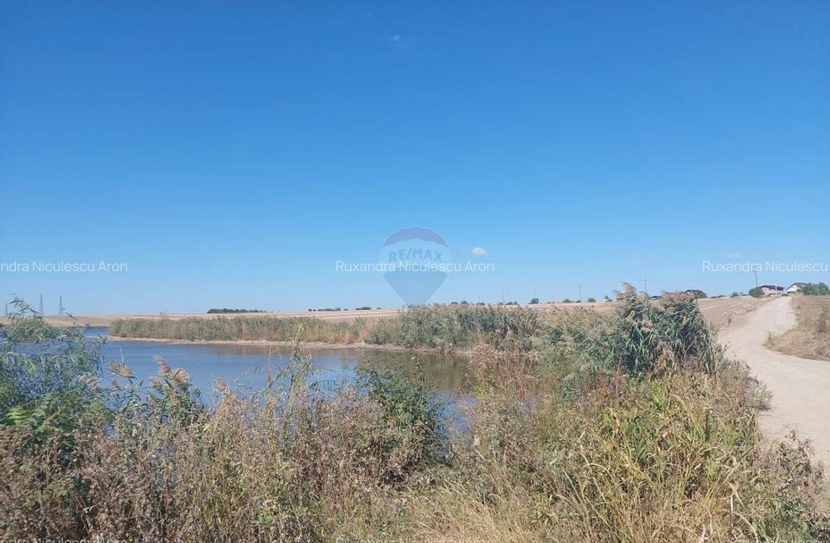 Teren de vanzare - Balotesti, Strada Lacului, ansamblu de 10 loturi - 2