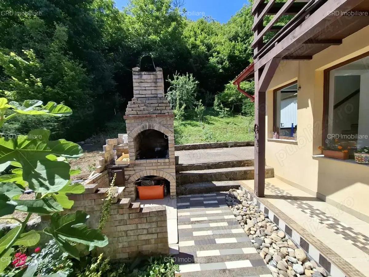 Str. Valea Rosie proprietate compusa din 2 imobile, casa P+M si una pe parter - 3