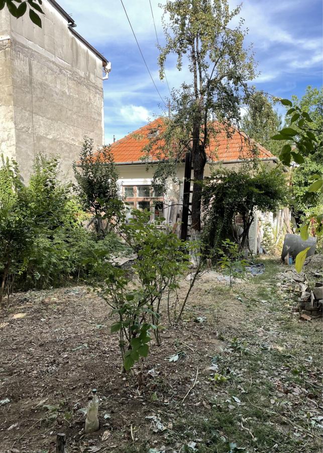 Casă cu 4 camere în Grigorescu - 3