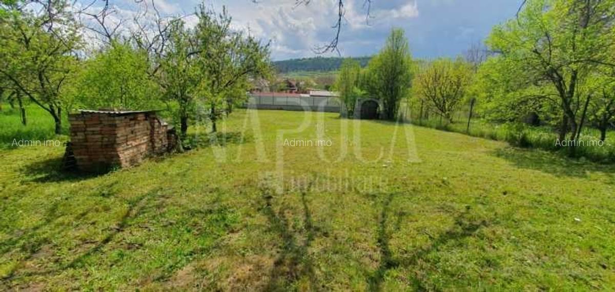 Teren intravilan pentru constructii de vanzare in Baciu - 4